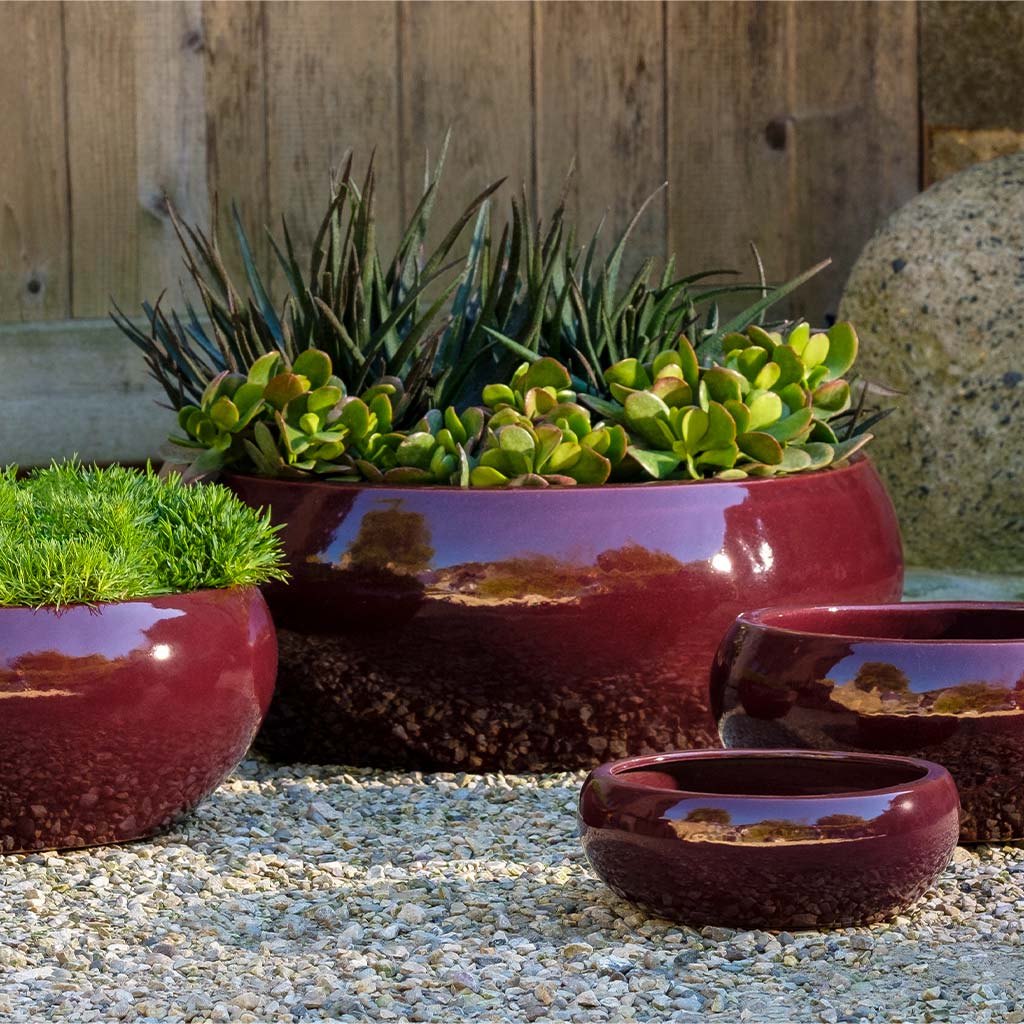 Sasha Planter - Plum - S/4