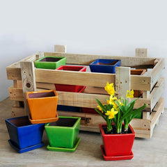 Campania Garden Terrace Brights Crate