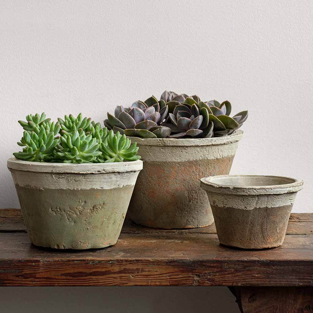 Photo of Campania Farmer's Pot Tapered - Cotswold White - Set of 12 - Marquis Gardens