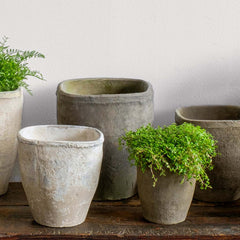 Campania Farmer's Pot Squared Cylinder - Mixed - Set of 24