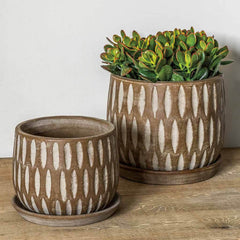Campania Parabola Large Round Planter - Set of 8