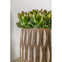 Campania Parabola Planter Set of 8