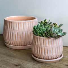 Campania Parabola Large Round Planter - Set of 8