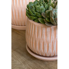 Campania Parabola Planter Set of 8