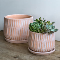 Campania Parabola Planter Set of 8
