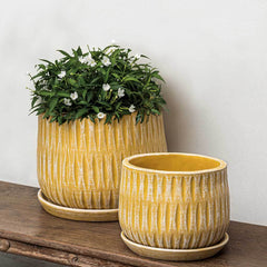 Campania Parabola Large Round Planter - Set of 8