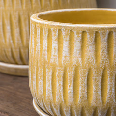 Campania Parabola Planter Set of 8