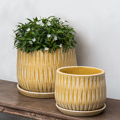 Campania Parabola Planter Set of 8