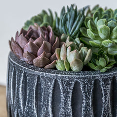 Campania Parabola Planter Set of 8