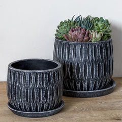 Campania Parabola Planter Set of 8