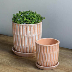 Campania Parabola Planter Set of 8