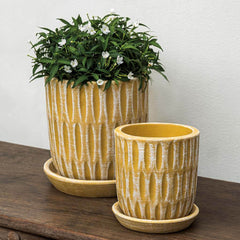 Campania Parabola Planter Set of 8