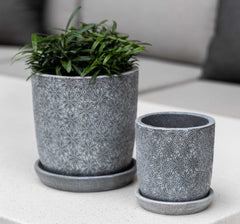 Photo of Campania Marguerite Round Planter - Set of 8 - Marquis Gardens