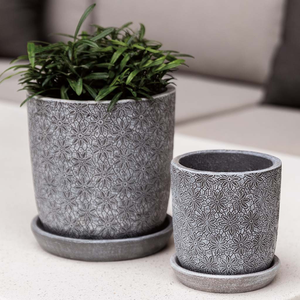 Campania Marguerite Round Planter - Set of 8