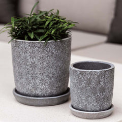 Campania Marguerite Round Planter - Set of 8