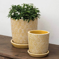 Campania Marguerite Round Planter - Set of 8