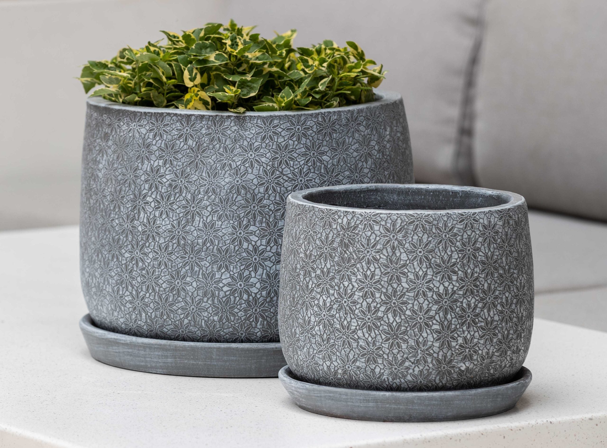 Photo of Campania Marguerite Round Planter - Set of 8 - Marquis Gardens