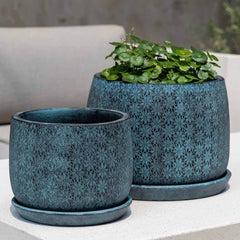 Campania Marguerite Round Planter - Set of 8