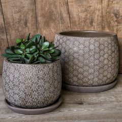 Photo of Campania Marguerite Round Planter - Set of 8 - Marquis Gardens