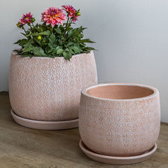 Photo of Campania Marguerite Round Planter - Set of 8 - Marquis Gardens