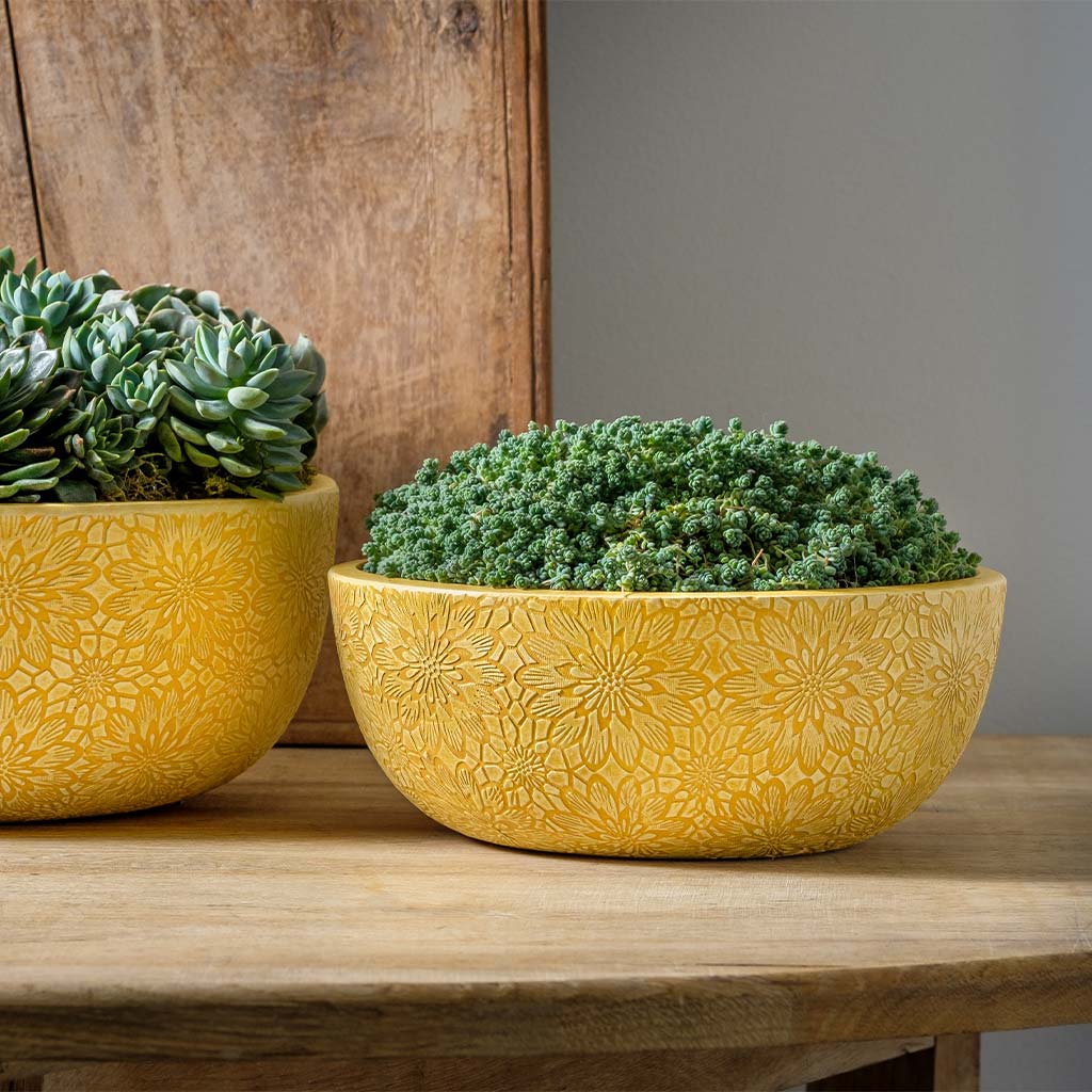 Photo of Campania Chrysanthemum Bowl Set of 4 - Exclusively Campania