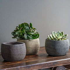 Photo of Campania Jute Square - Assorted Glaze - Set of 6 - Marquis Gardens