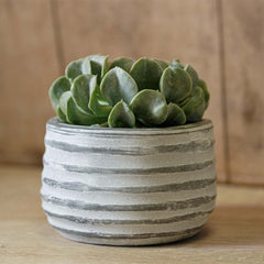 Campania Etage Planter Large - Grey and Whitewash - Set of 6