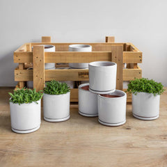 Campania Small Cylinder Planter Crate Set of 16