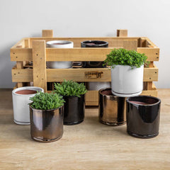Campania Small Cylinder Planter Crate Set of 16