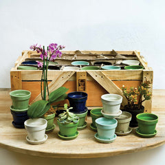 Campania Garden Terrace Crate of 48 - Assorted Glaze