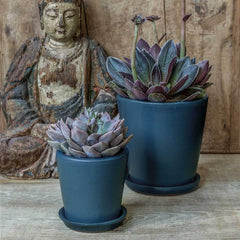 Campania Nikki Planters Set of 16