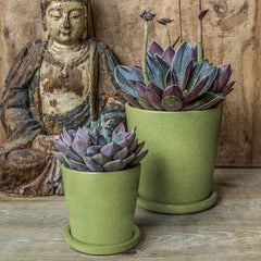Campania Nikki Planters Set of 16