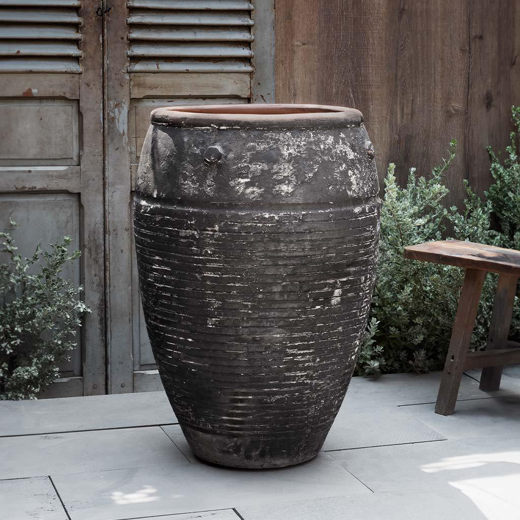 Campania Catania Jar  Vicolo Noir