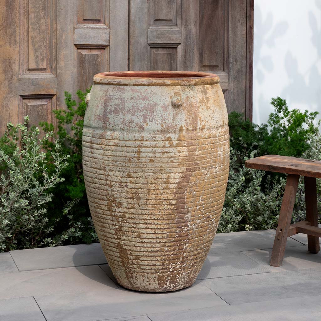 Campania Catania Jar  Vicolo Muro
