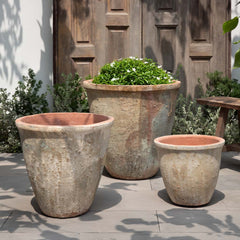 Campania Alicante Planter  Vicolo Terra