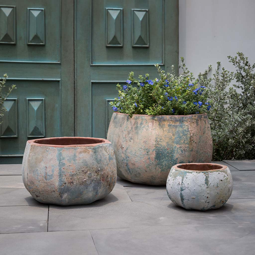 Campania Anselmo Planter  Vicolo Terra