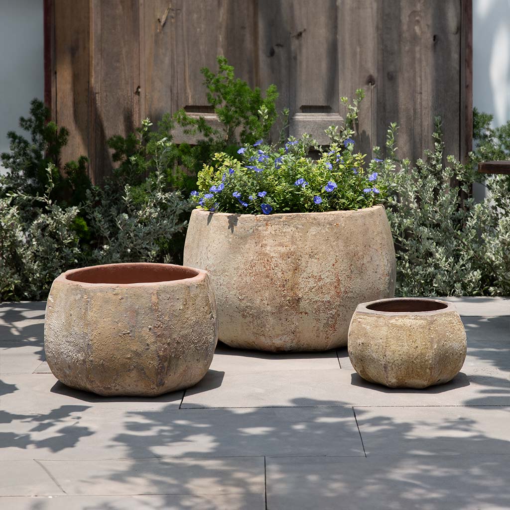 Campania Anselmo Planter  Vicolo Terra