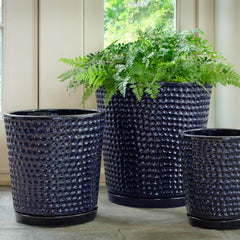 Campania I/O Coin Pot  Aqua