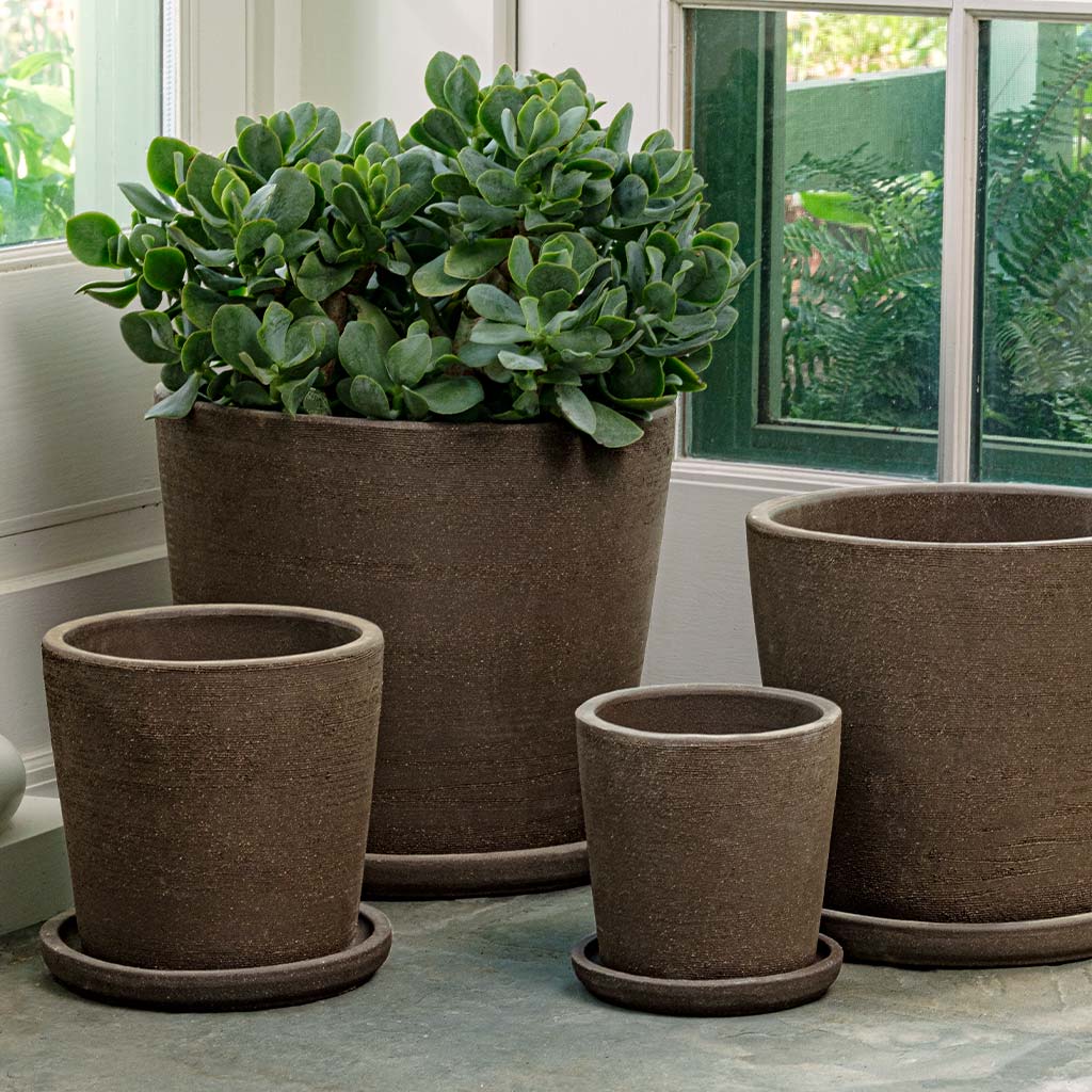 Maracay Planter - Carob - S/4