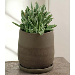 Aimee Planter - Shell - S/4