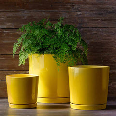 Photo of Campania I/O 2 Cylinder Planter Set of 3 - Marquis Gardens
