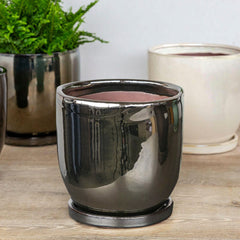 Campania I/O Series Cup Set of 6