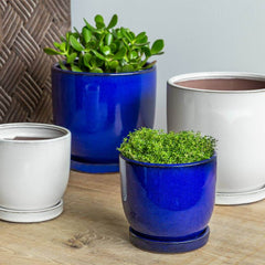 Campania I/O Series Cup Set of 6