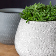 Campania Scalloped Bowl and Planter - Grey and Eggshell Mix - Set of 8