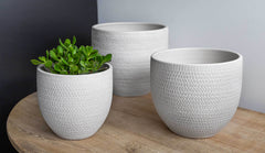 Campania Scalloped Tall Round Planter - Set of 3
