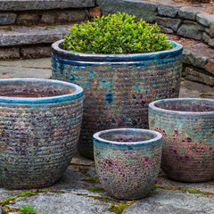Campania Aspara Planter