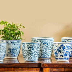 Campania Cylindar Planter - Blue and White Mix - Set of 6