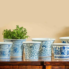 Campania Flared Planter - Blue and White Mix - Set of 6