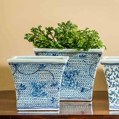 Campania Flared Planter - Blue and White Mix - Set of 6