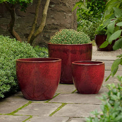 Campania Rafi Planter  Barolo